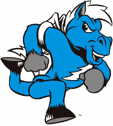 Middle Tennessee Blue Raiders 0-Pres Mascot Logo iron on transfers for fabric